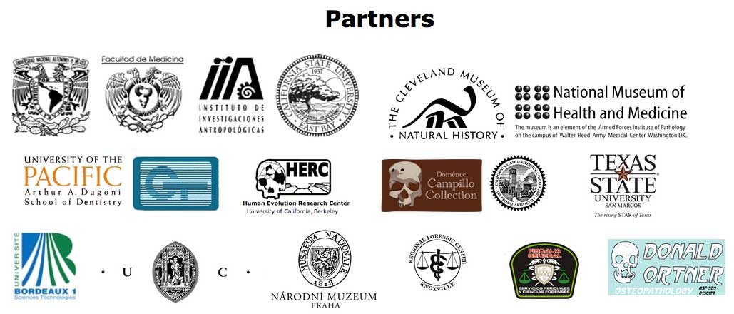 partners
